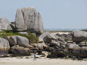 Kröten-Strand